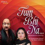 Tum Bhi Na - Jaswinder Singh Song Download